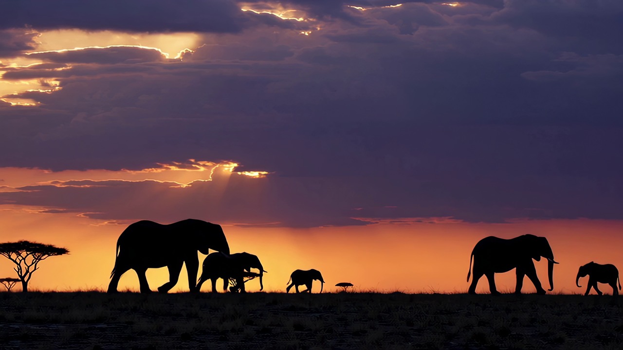 How to Register a Pty Ltd Company in South Africa – Complete 2026 Guide